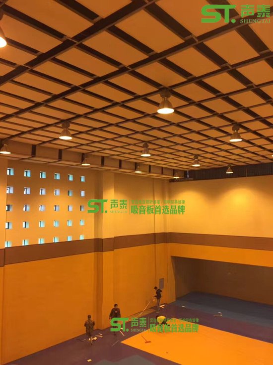 湖南體育館空間吸聲體廠家(圖2) 湖南體育館空間吸聲體廠家(圖2)